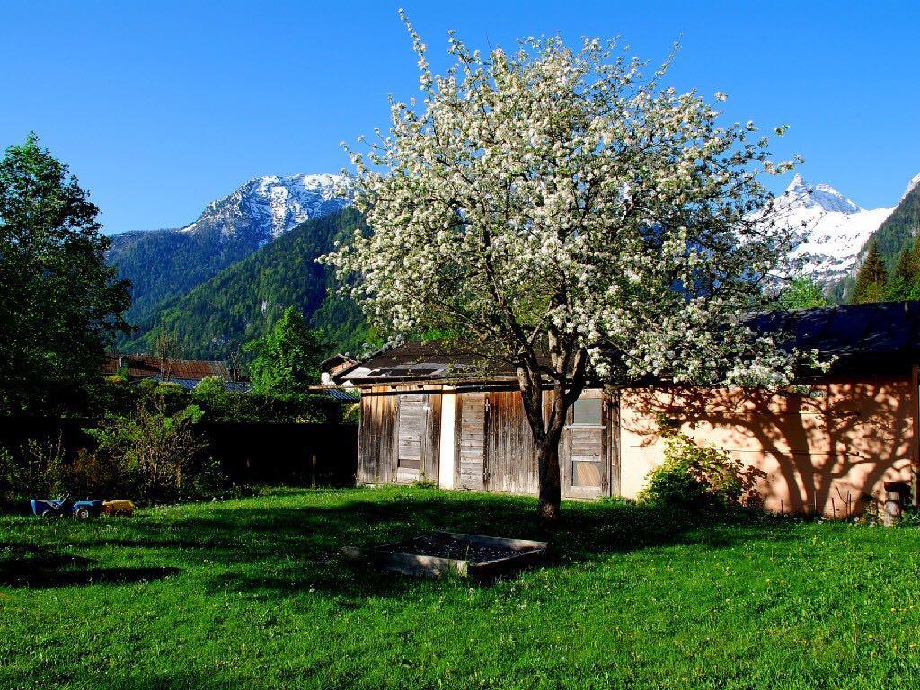 Haus Stainer *